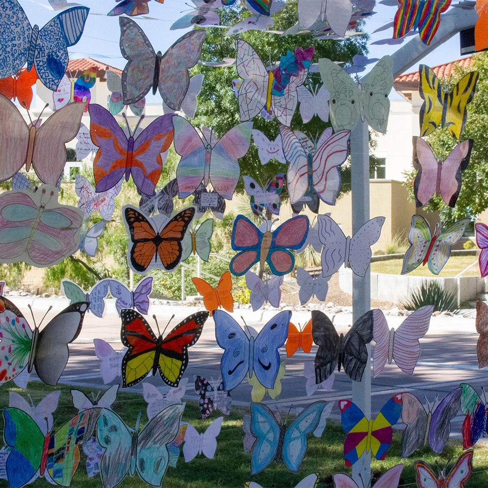 Mariposas Campesinas