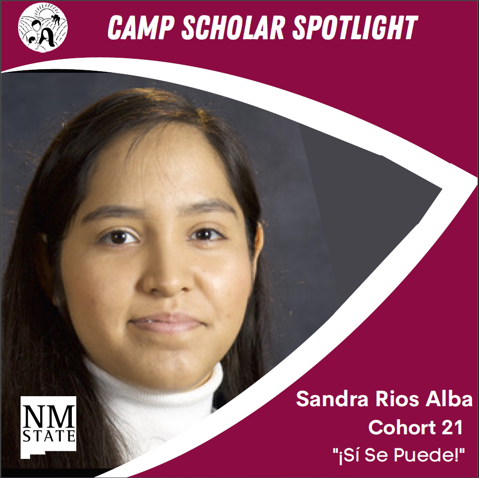 Students in innoventure program